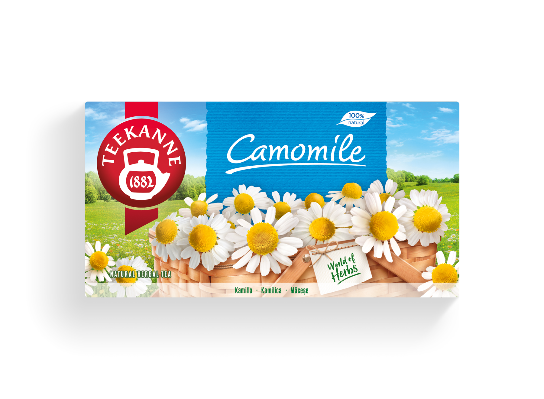 Camomile